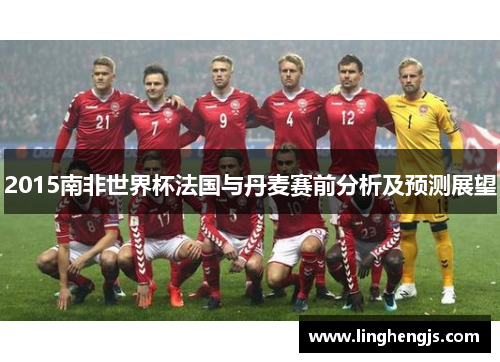 2015南非世界杯法国与丹麦赛前分析及预测展望