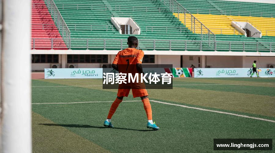 洞察MK体育